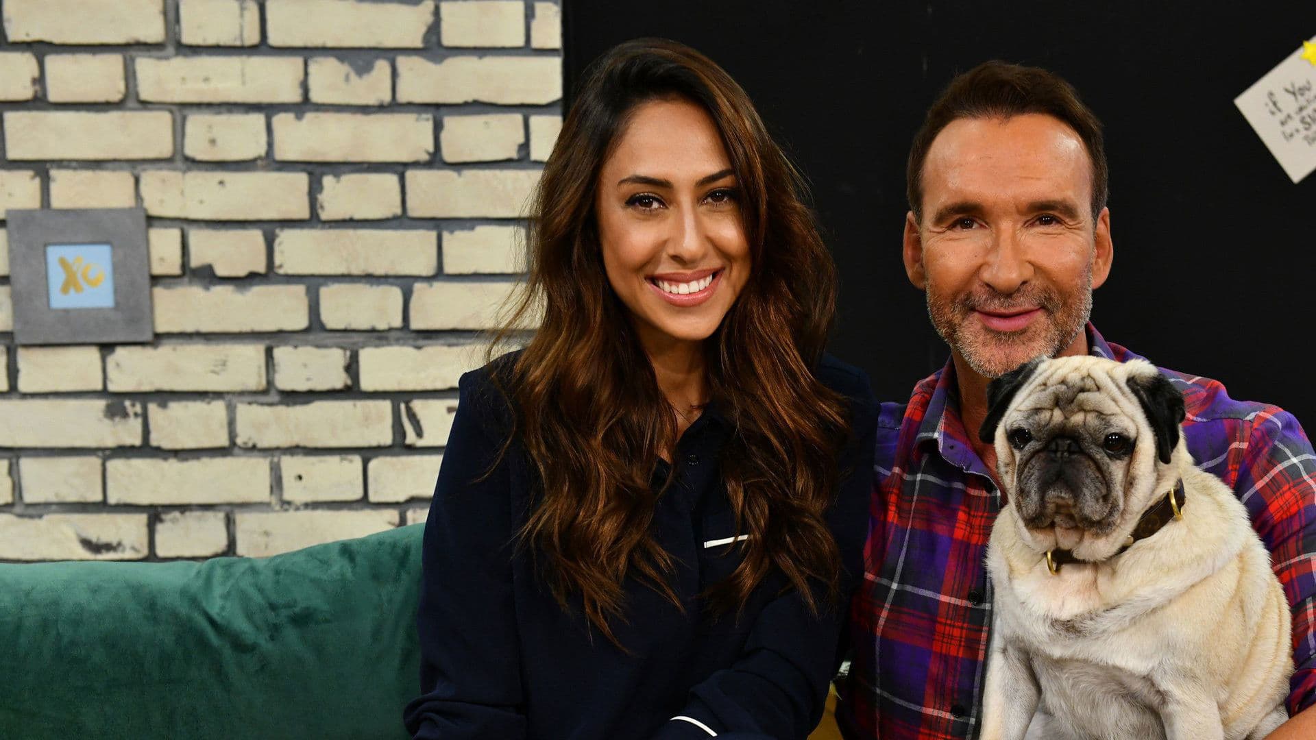 Promi Big Brother - Die Late Night Show