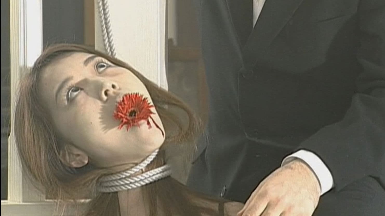 カラー・オブ・ライフ