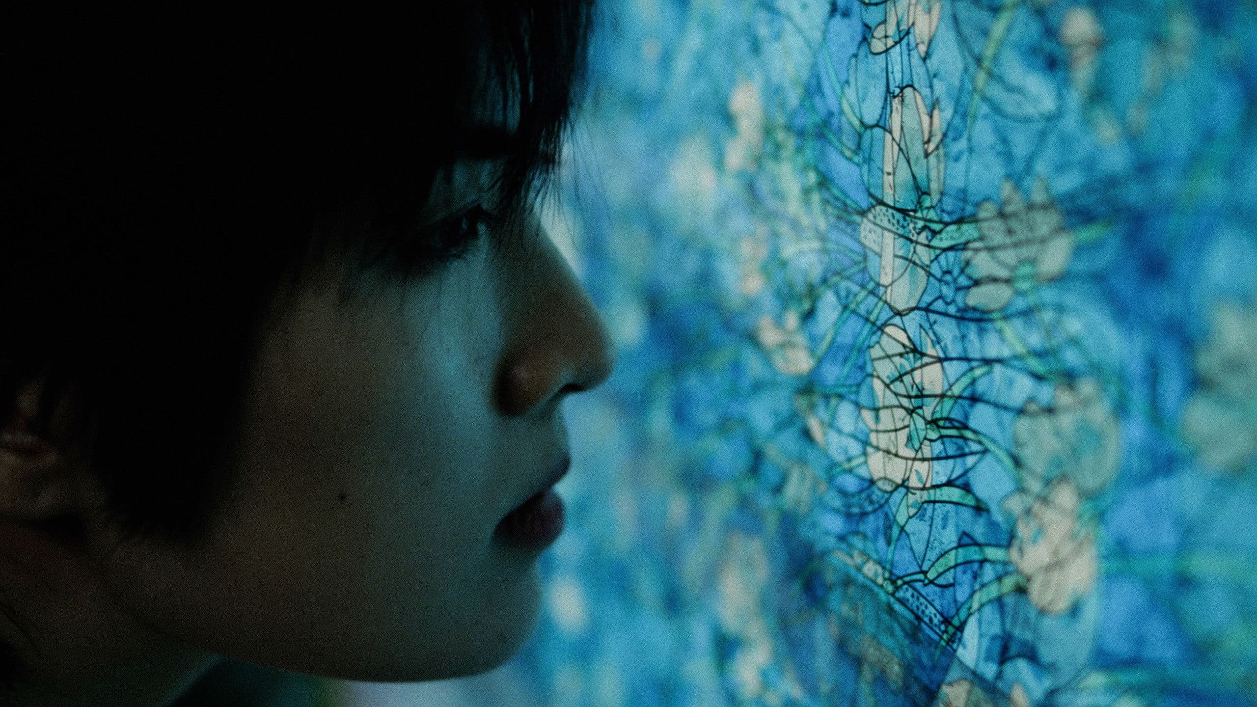 海边升起一座悬崖