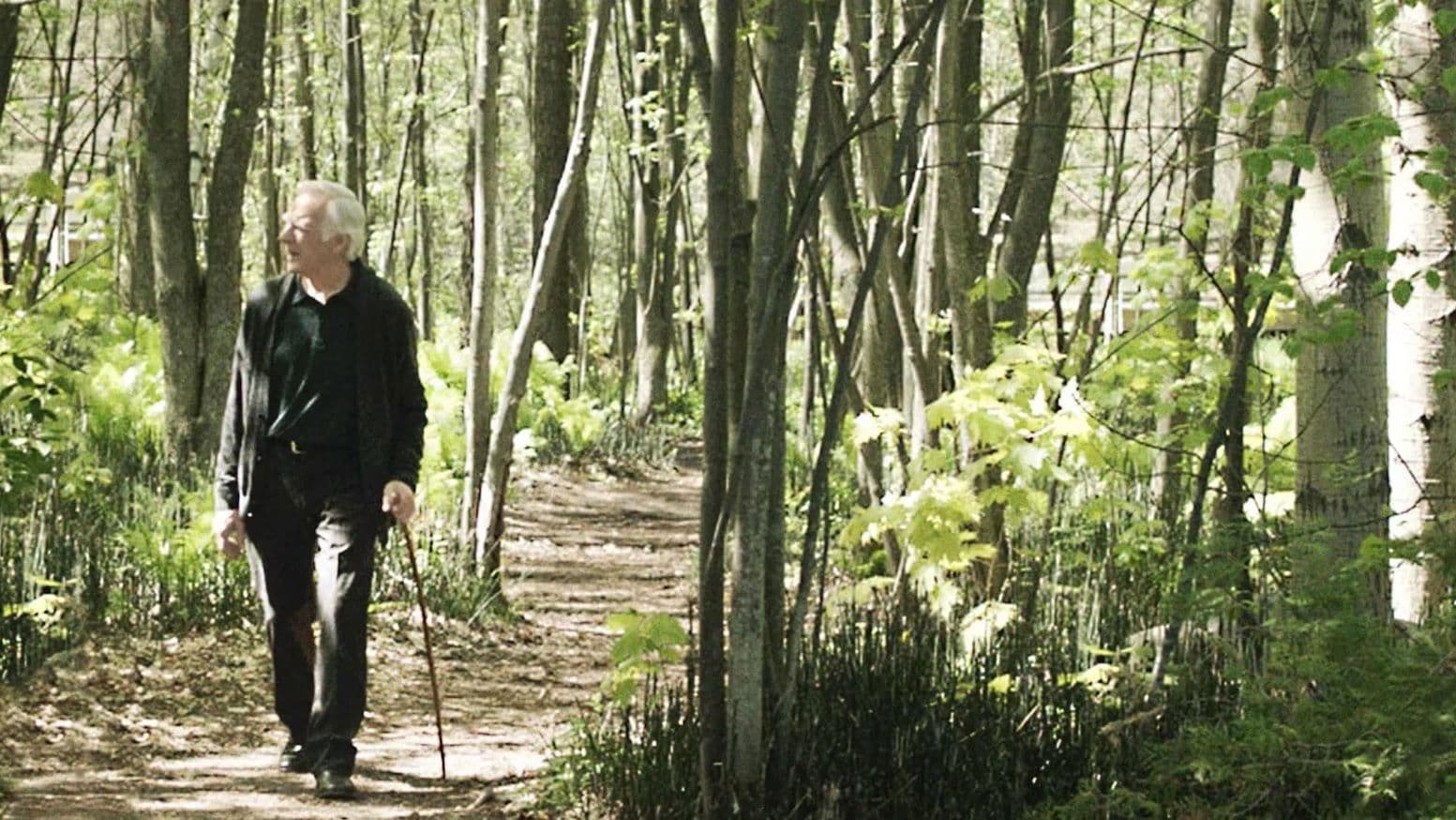 Le journal d'un vieil homme