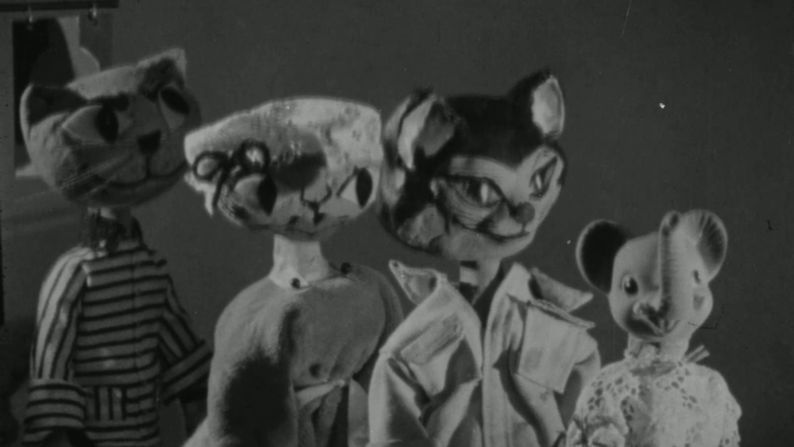 מי מכיר מי יודע?