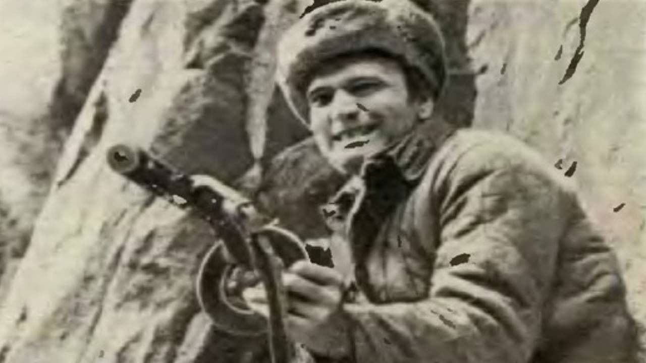 Ձնծաղիկներ և էդելվեյսներ