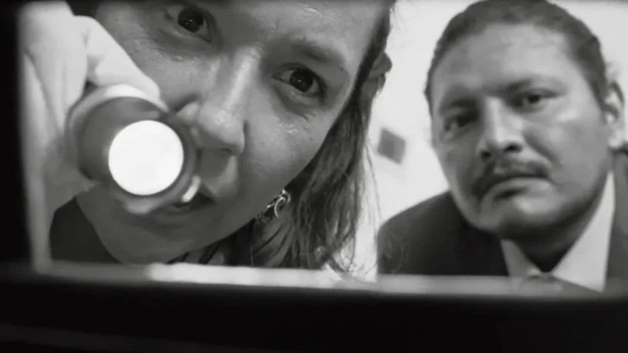 Movimentos Migratórios