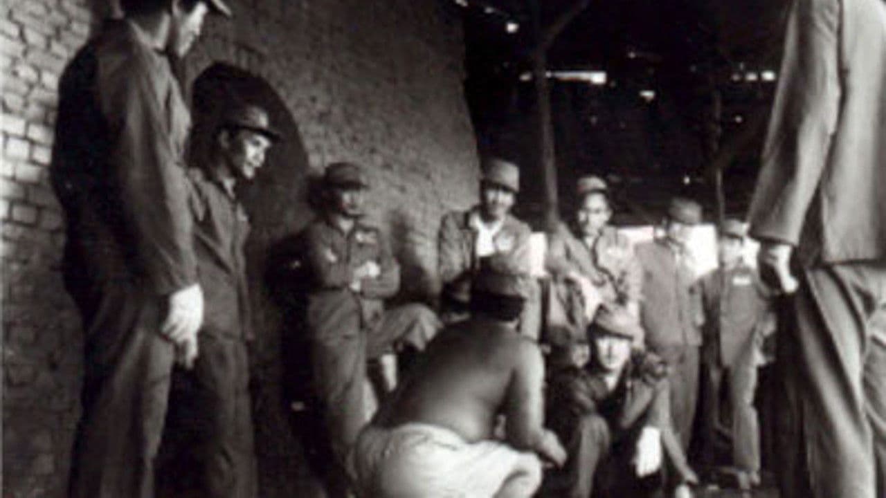 나를 더 이상 괴롭히지 마라