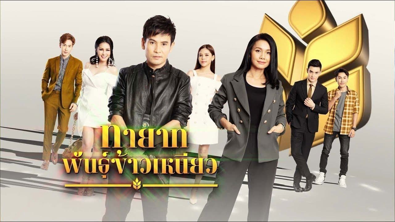 ทายาทพันธุ์ข้าวเหนียว