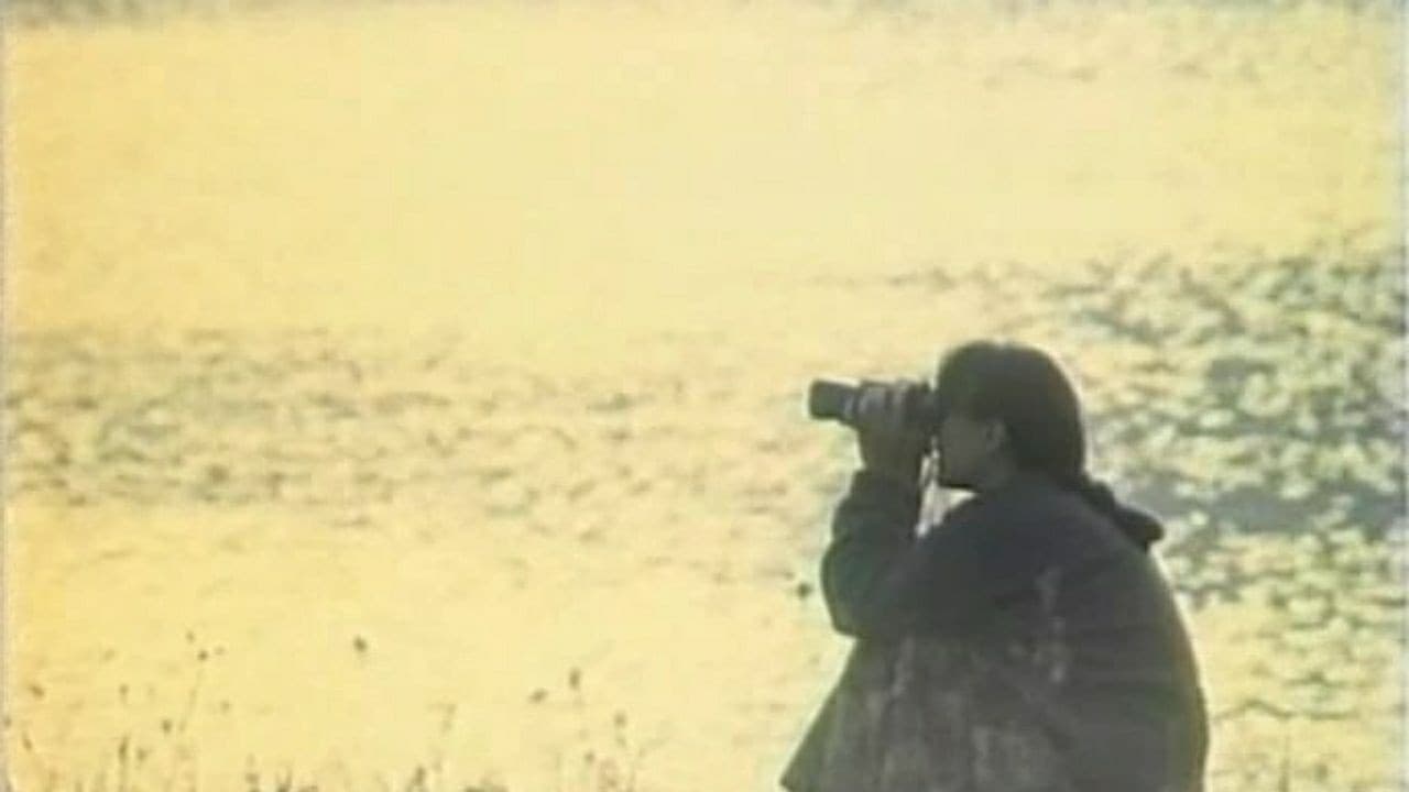 Доски судьбы