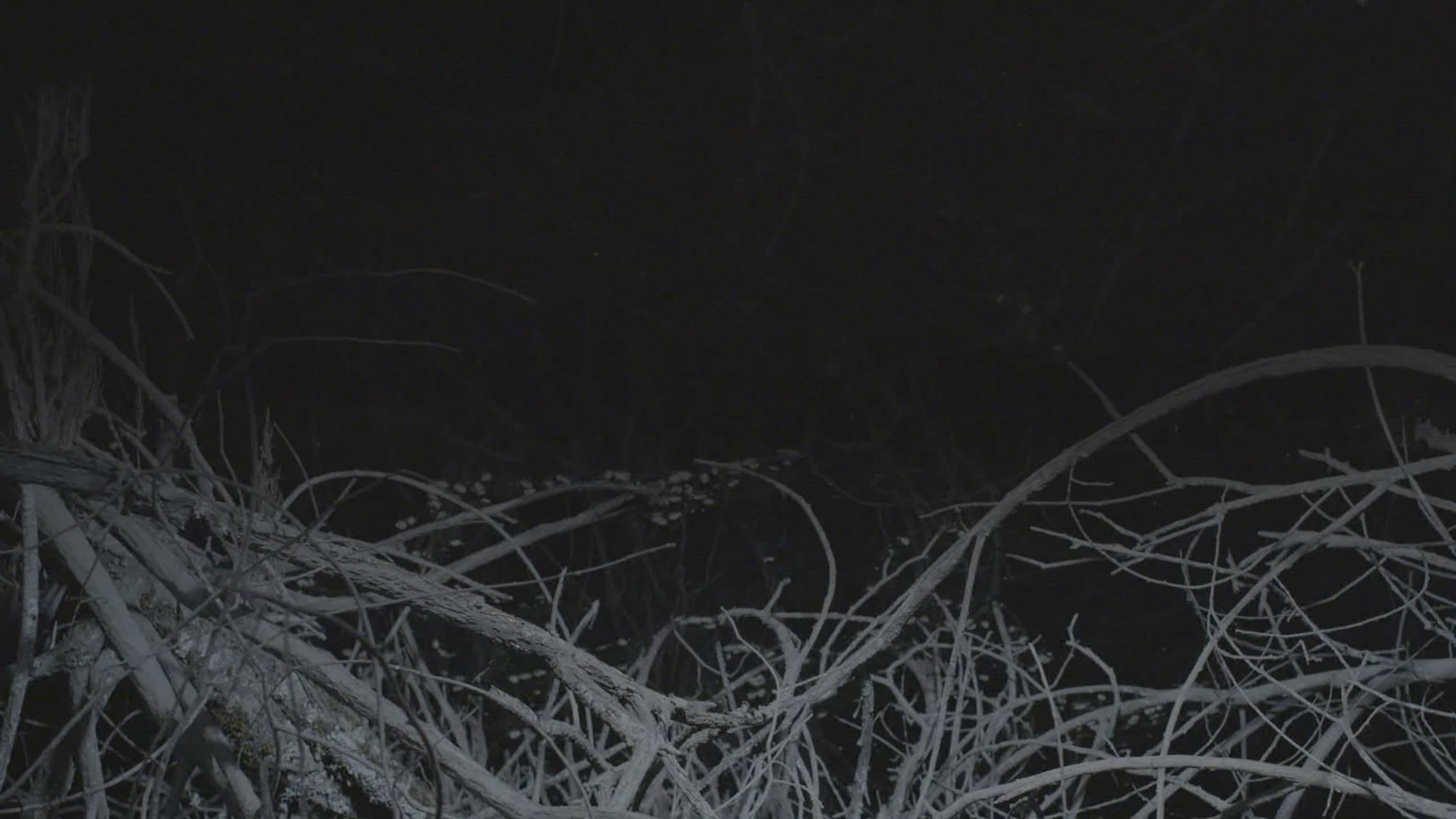 All the Planets in My Heart