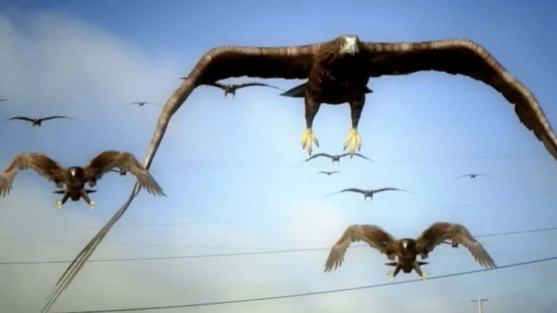 Birdemic : Macron Terror