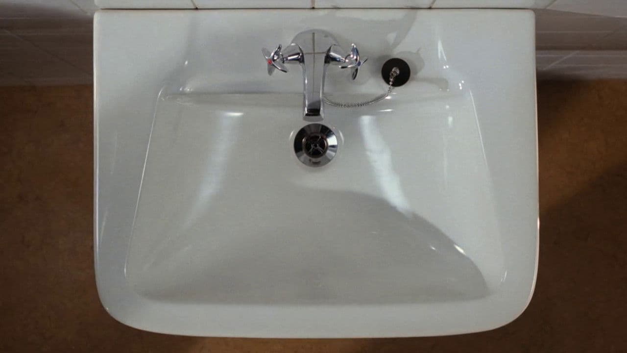 Scener ur ett handfats liv