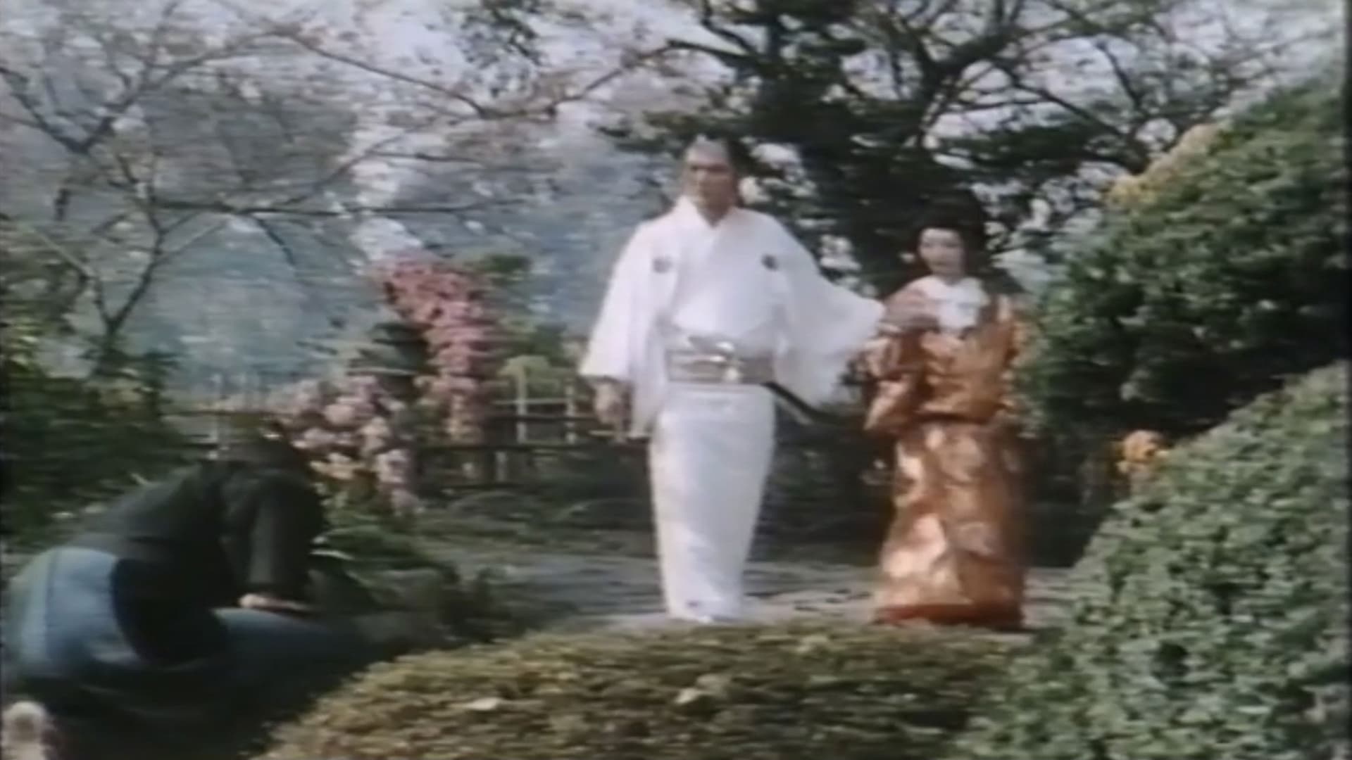 新・色暦大奥秘話 花吹雪おんな事始め