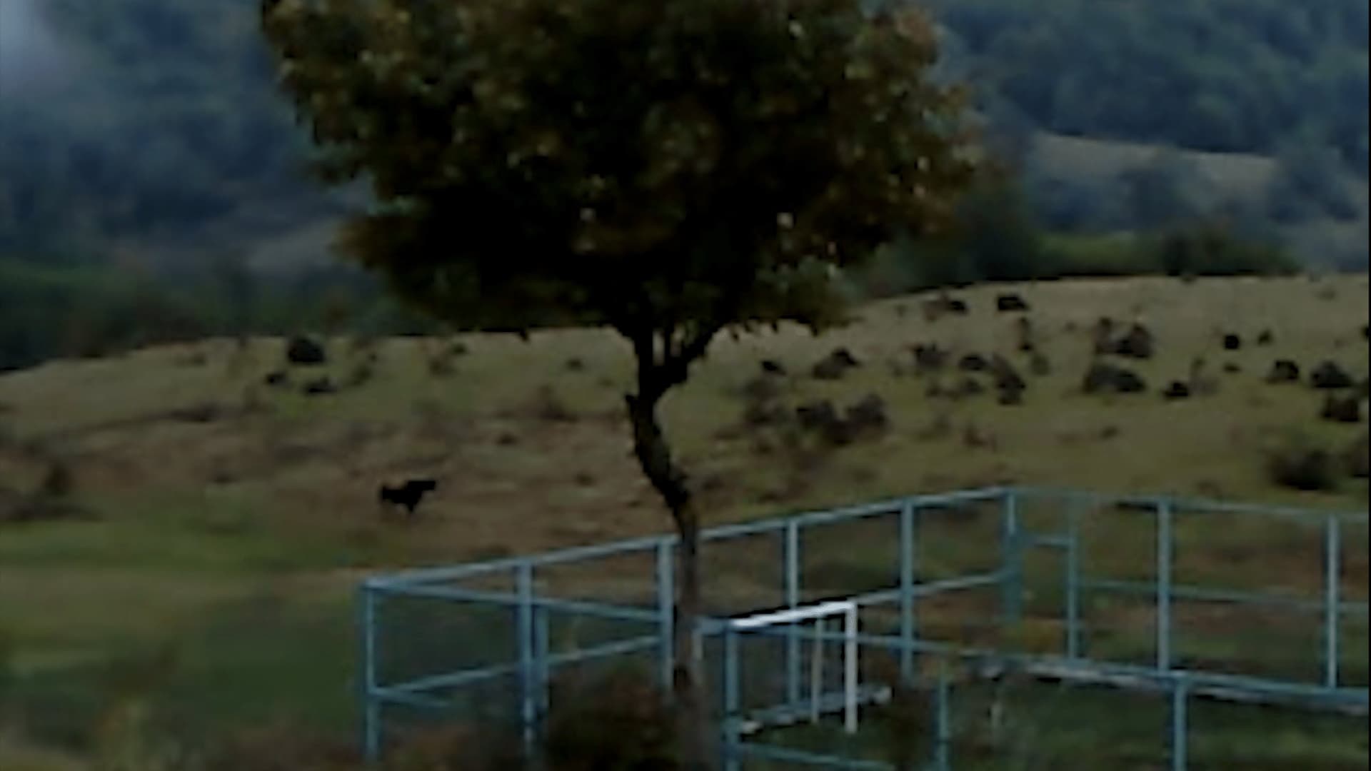 ხმელი ფოთოლი