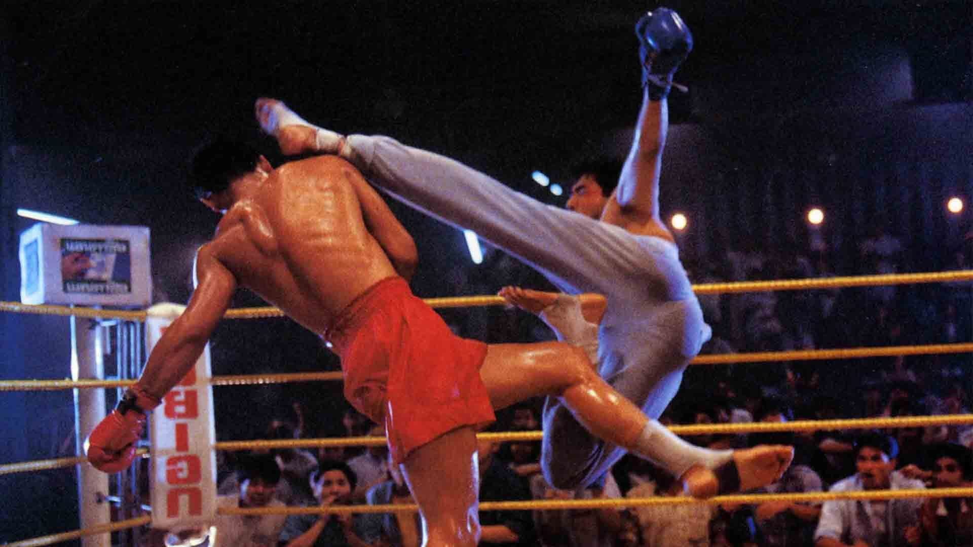 Tian shi xing dong III mo nu mo ri