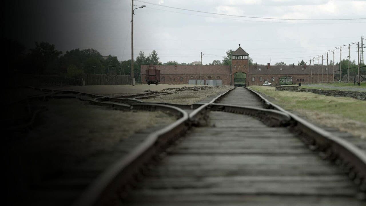 Les Traces D'Auschwitz (2021)