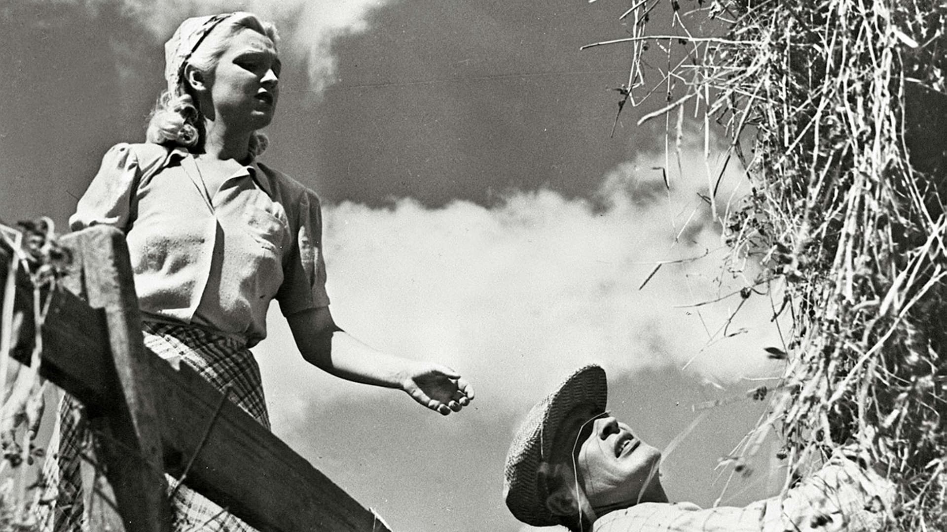 Oi, kallis Suomenmaa