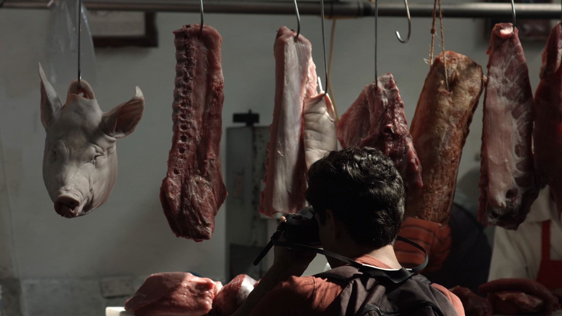 La soledad de las imágenes