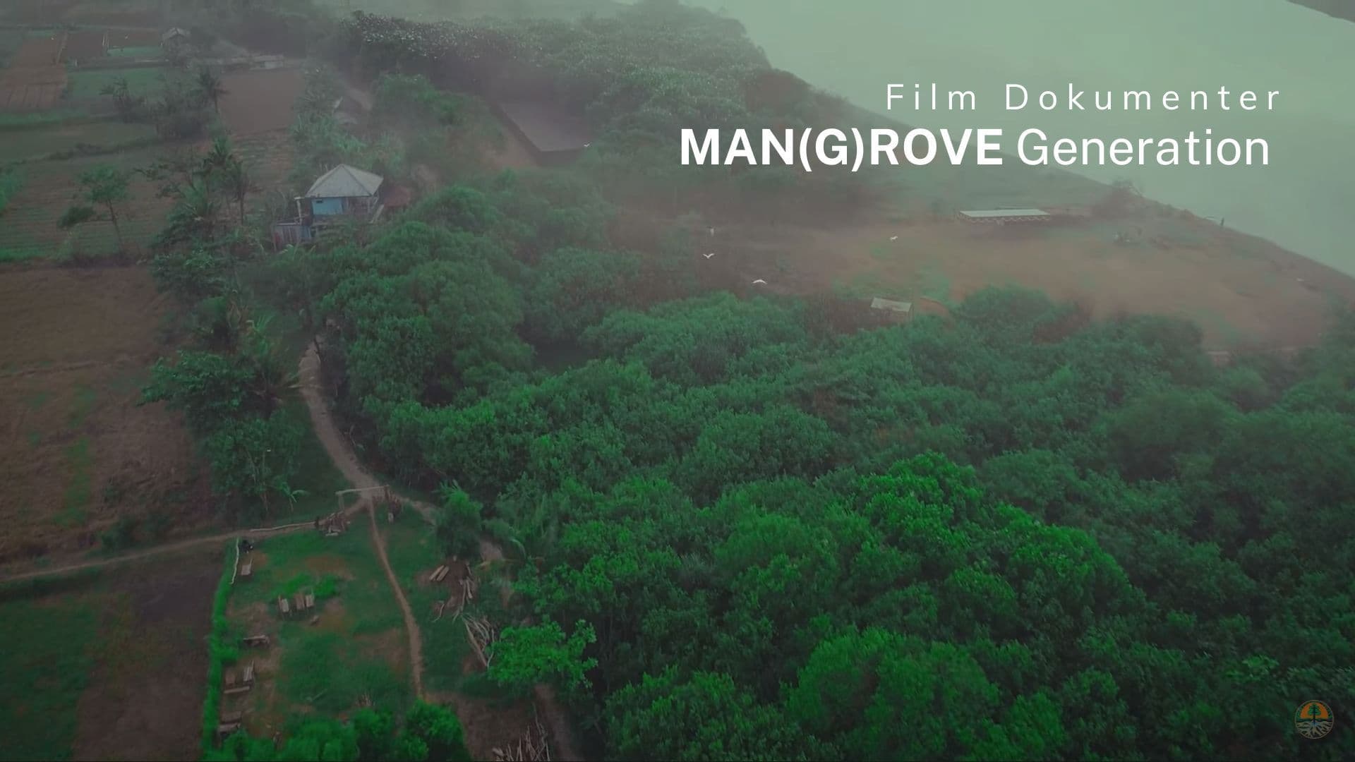 Man(g)rove Generation 2023