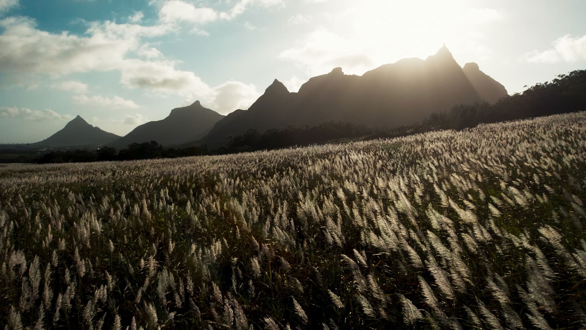 L’Offrande d’une vie