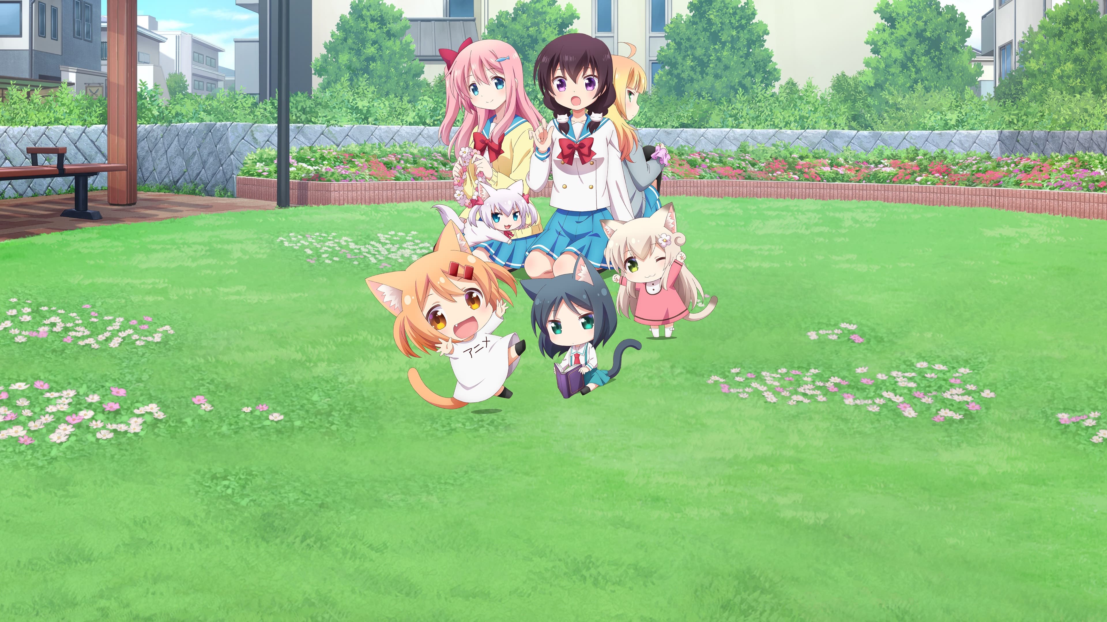 にゃんこデイズ