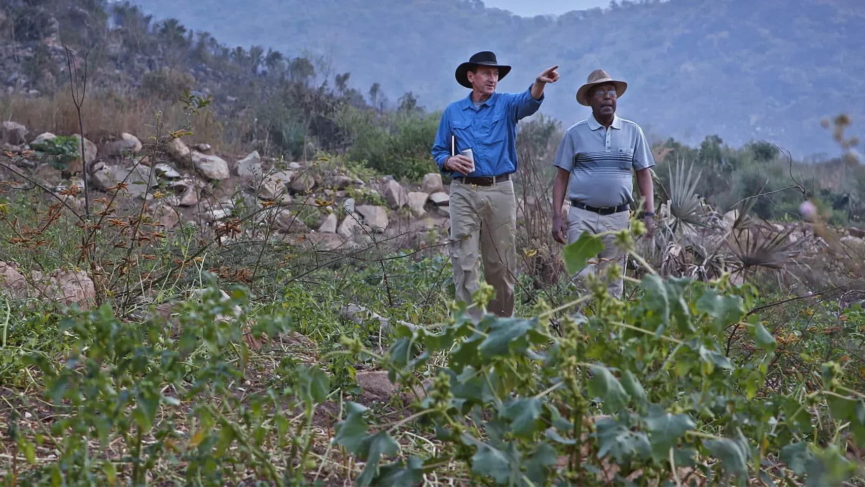 Switch On: The Series