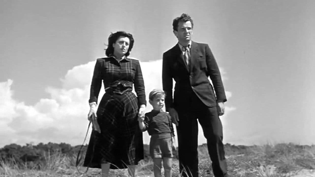 Molti sogni per le strade