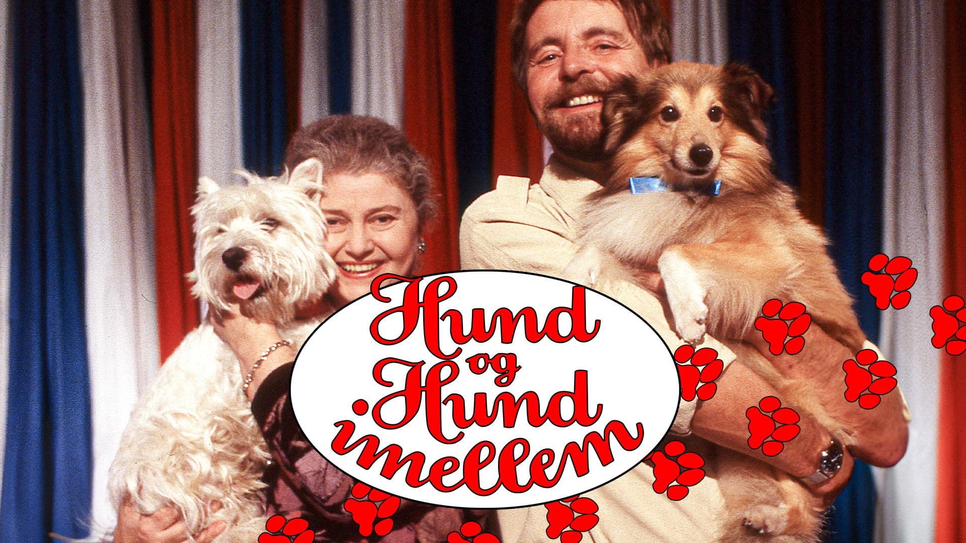 Hund og hund imellem(1989-1999)