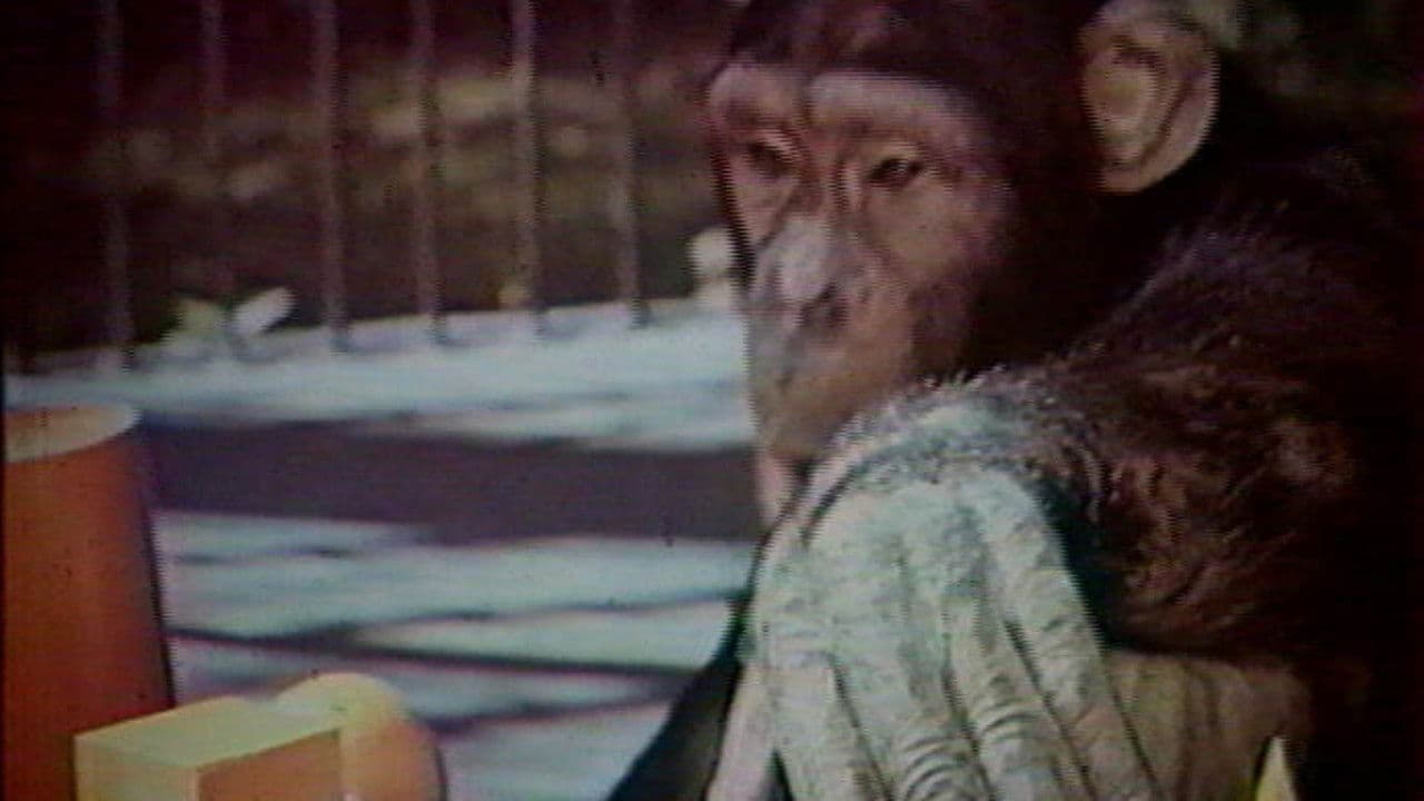 Думают ли животные?