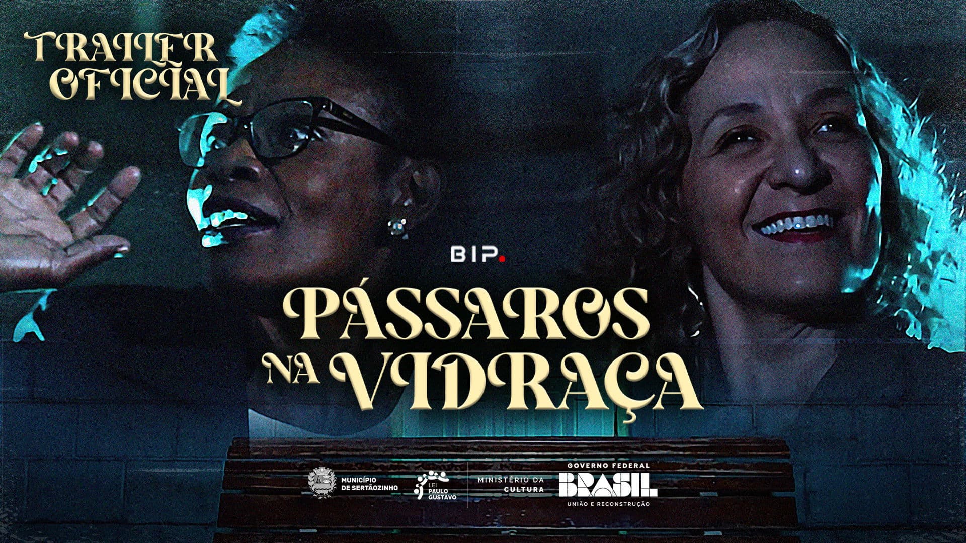 Pássaros na Vidraça