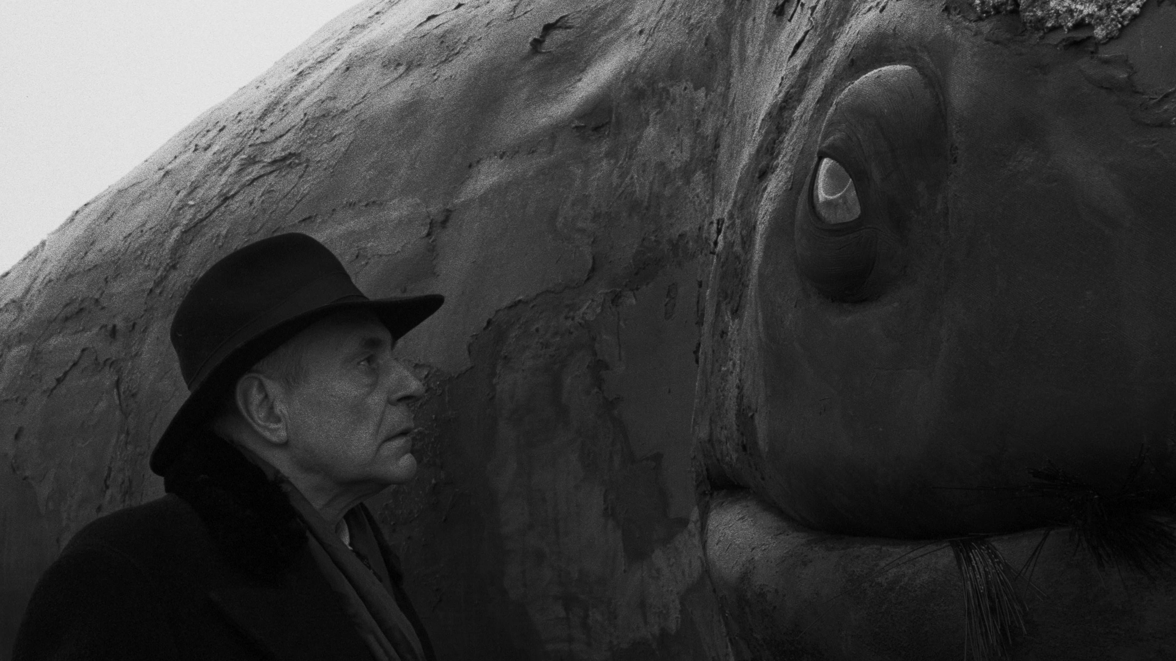 Armoniile lui Werckmeister