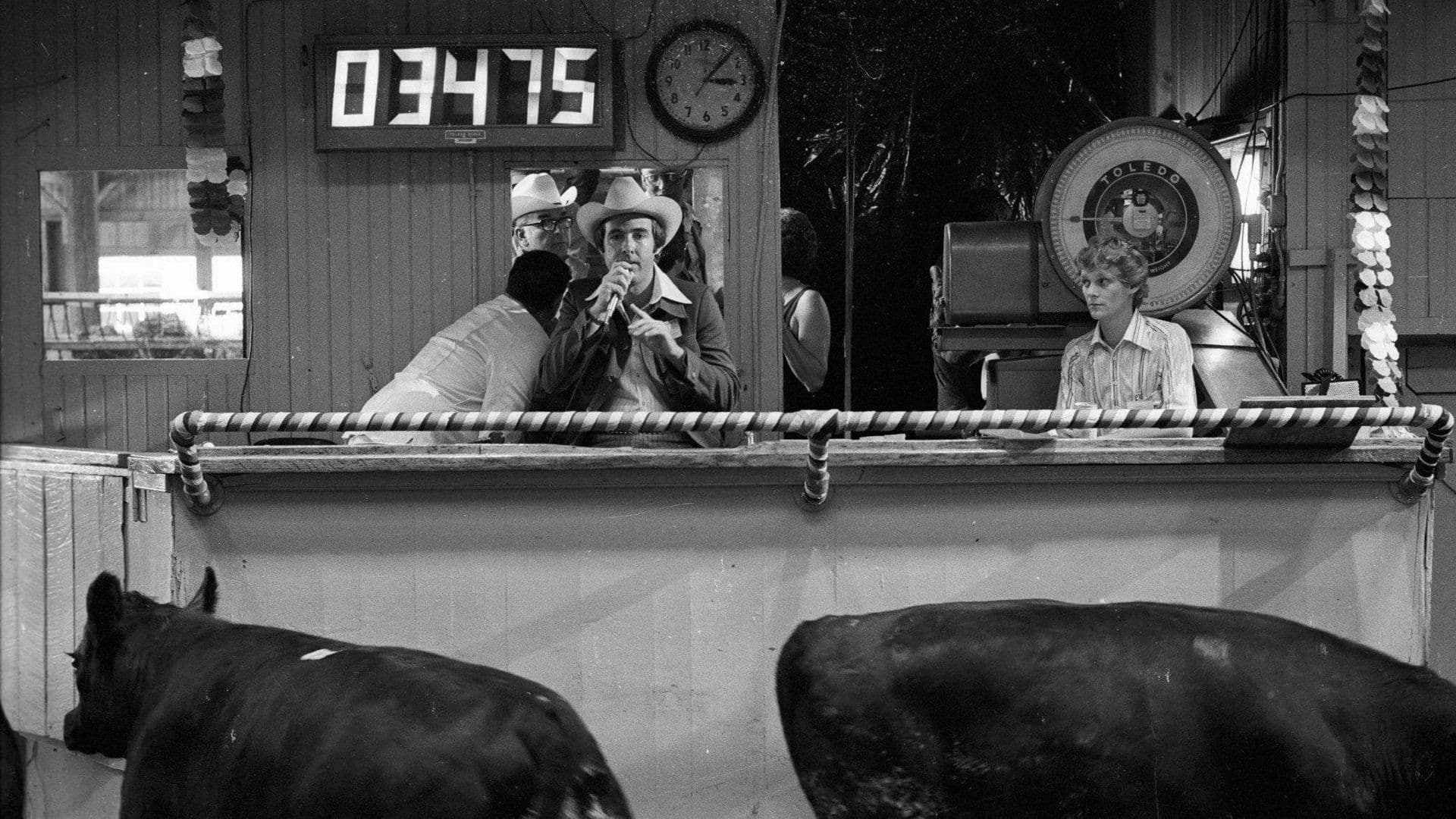 Cât lemn strânge o marmotă