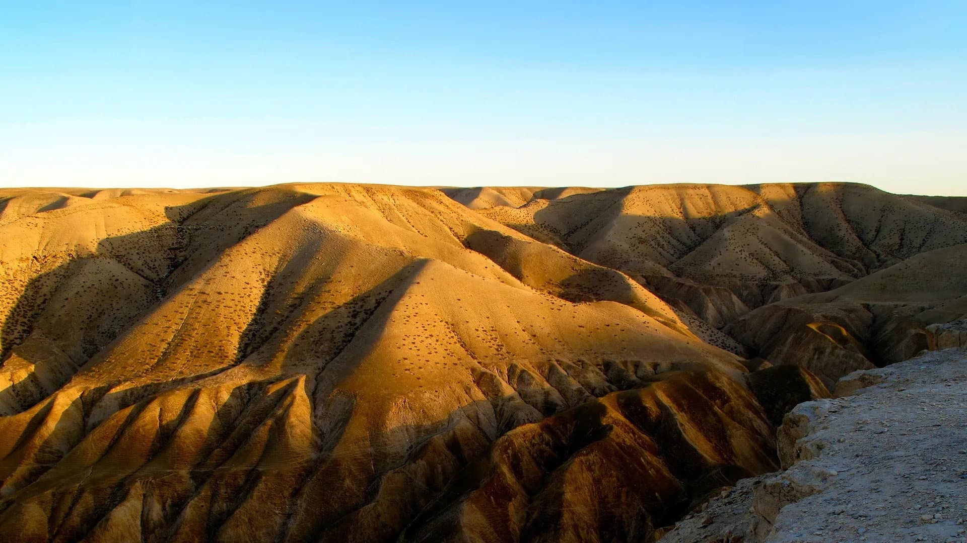 Deșerturile și viața