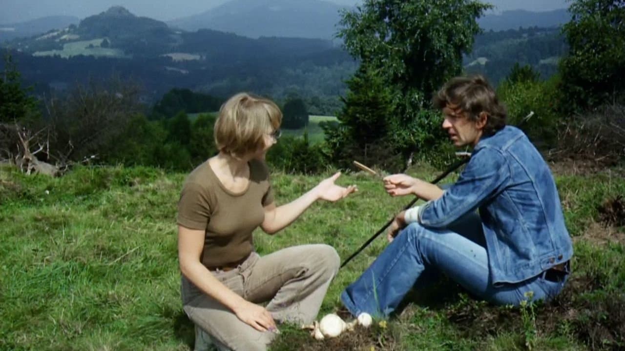 O vară cu un cowboy