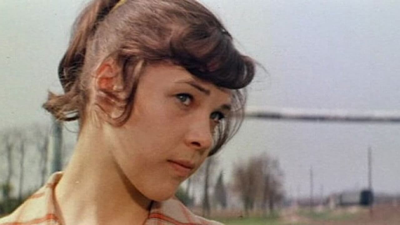 Безбилетная пассажирка