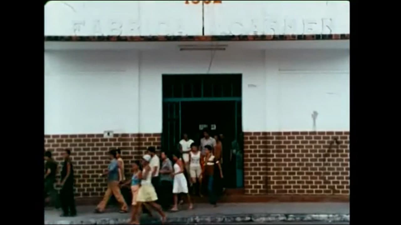 Memórias da Vida e do Trabalho