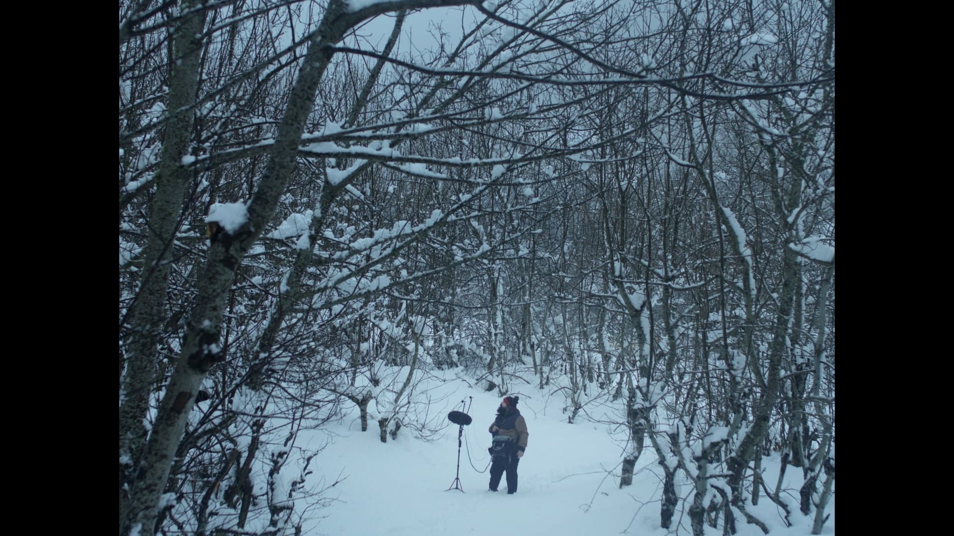 Valle Blanco, Gallo Negro