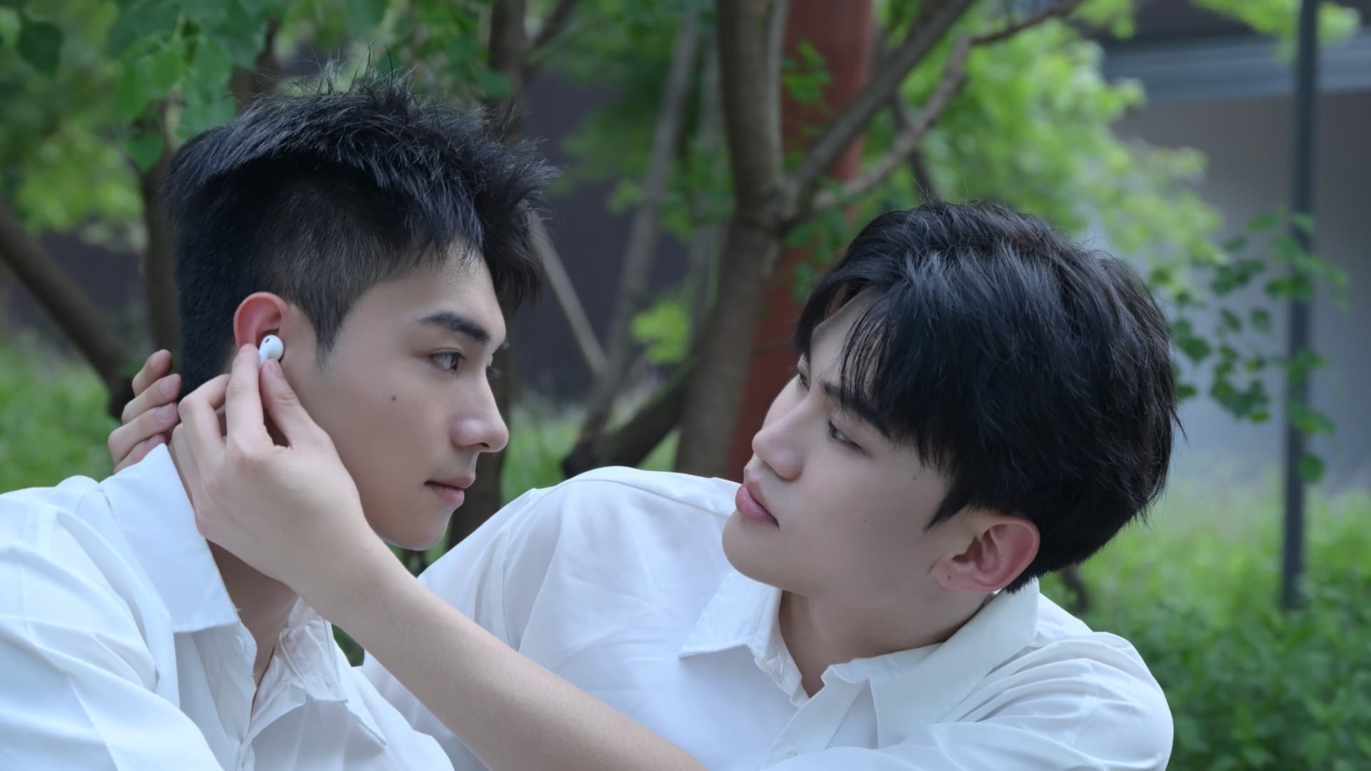 盛夏里的旧时光