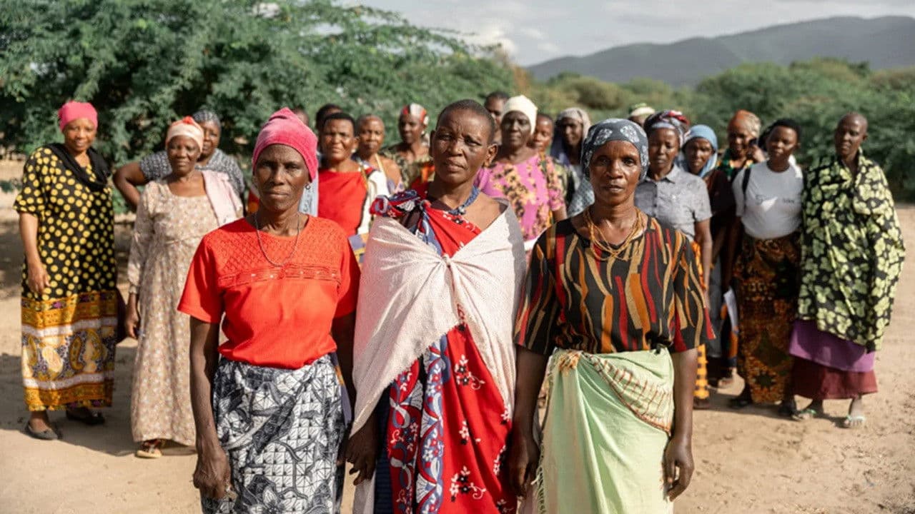La sombra del Baobab