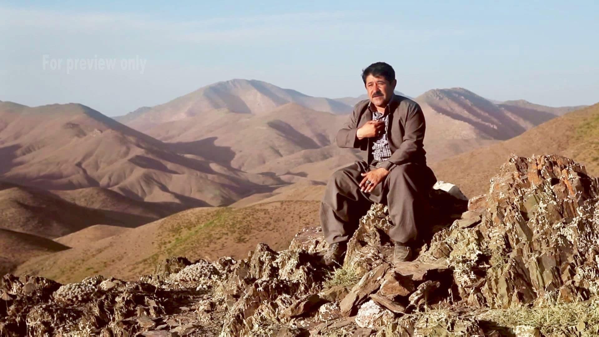 ماڵاوا ئانالۆگ