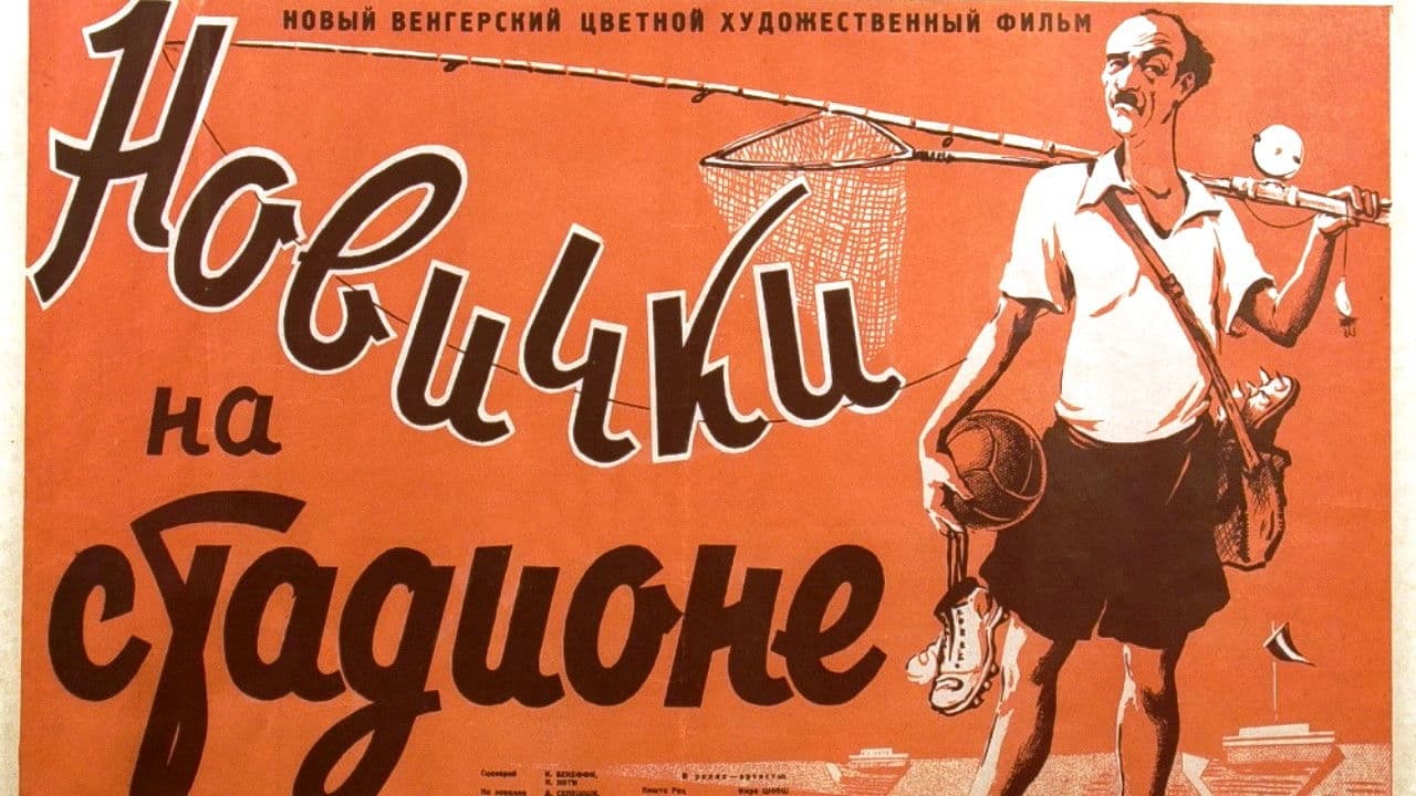 Toată lumea pe stadion