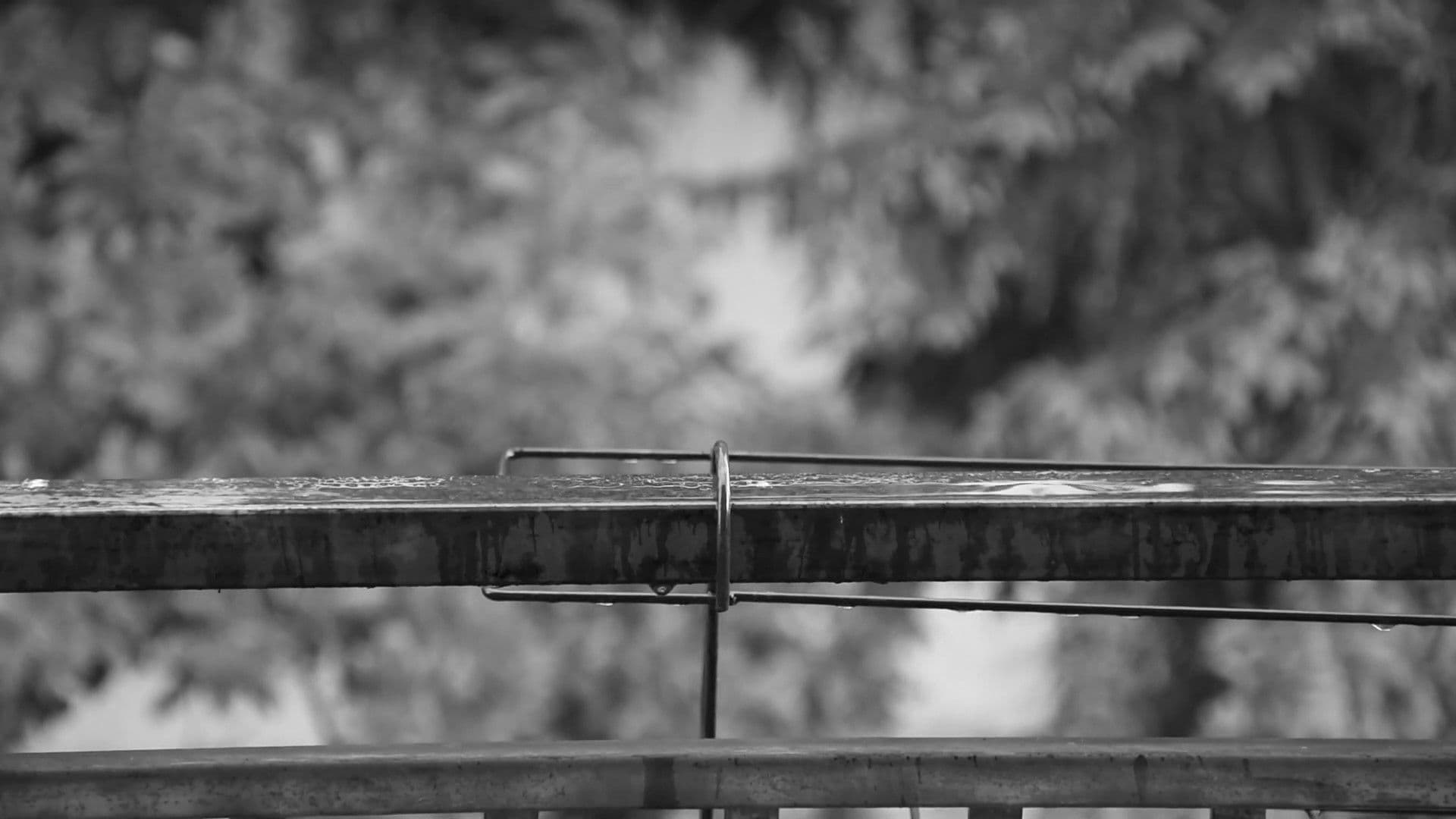 Šta žena napravi od čoveka...