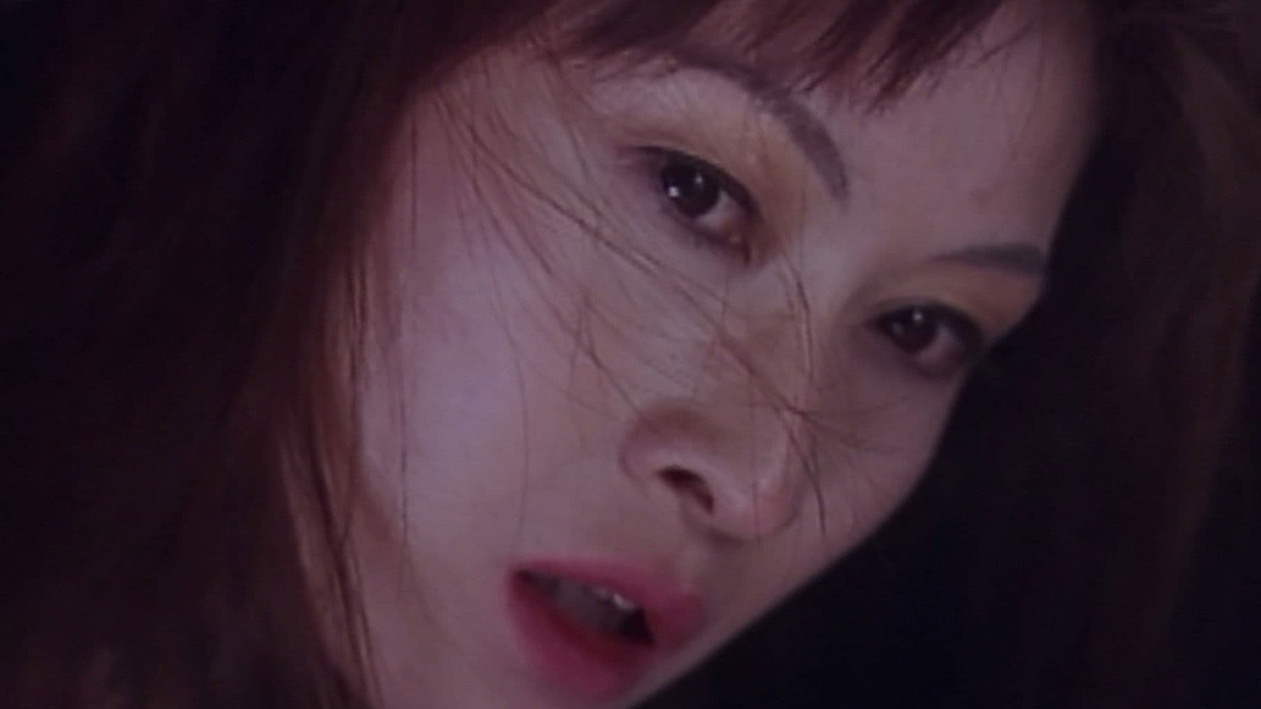 超いんらん　姉妹どんぶり