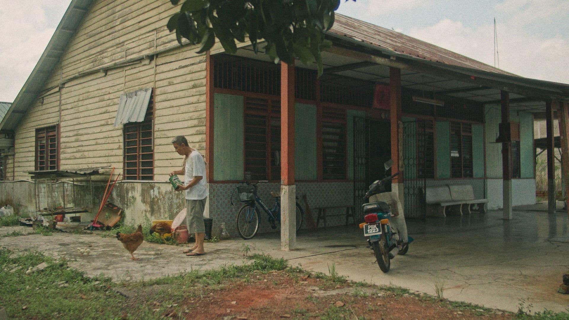 阿公手里的莽吉柿