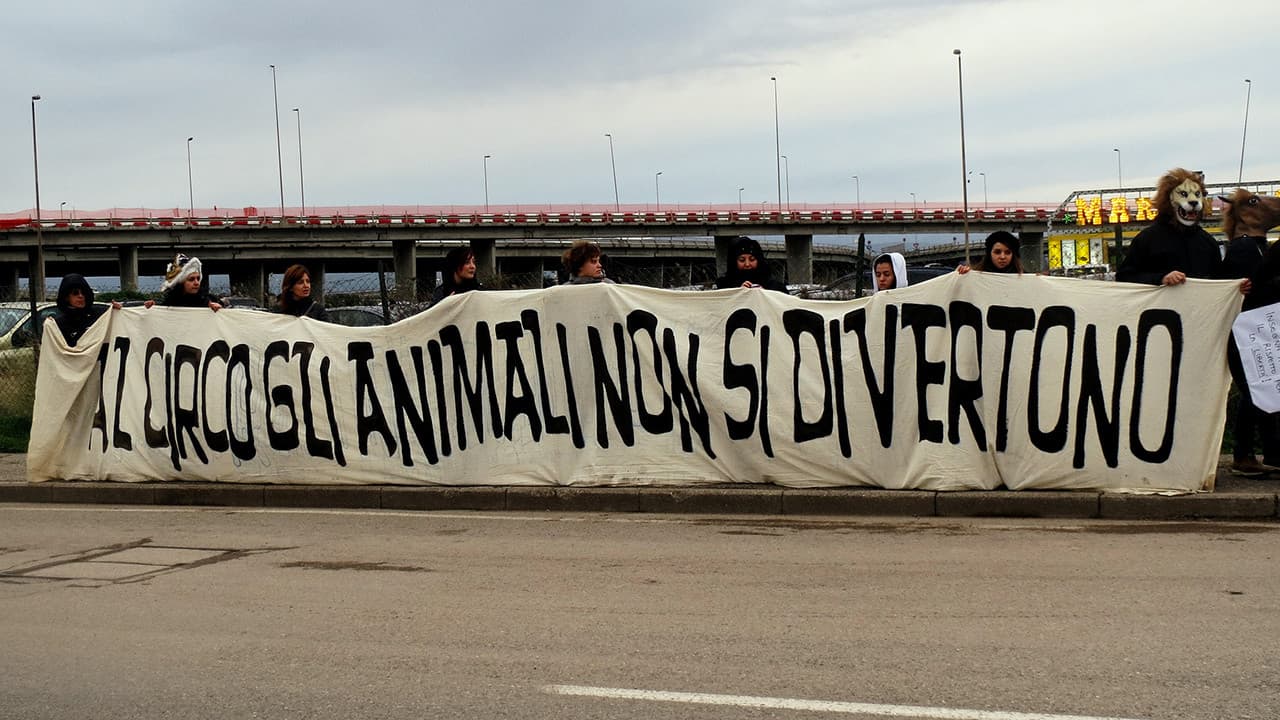 L’ultimo spettacolo