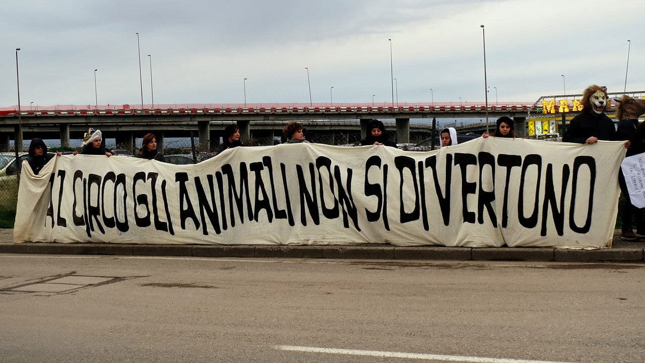 L’ultimo spettacolo