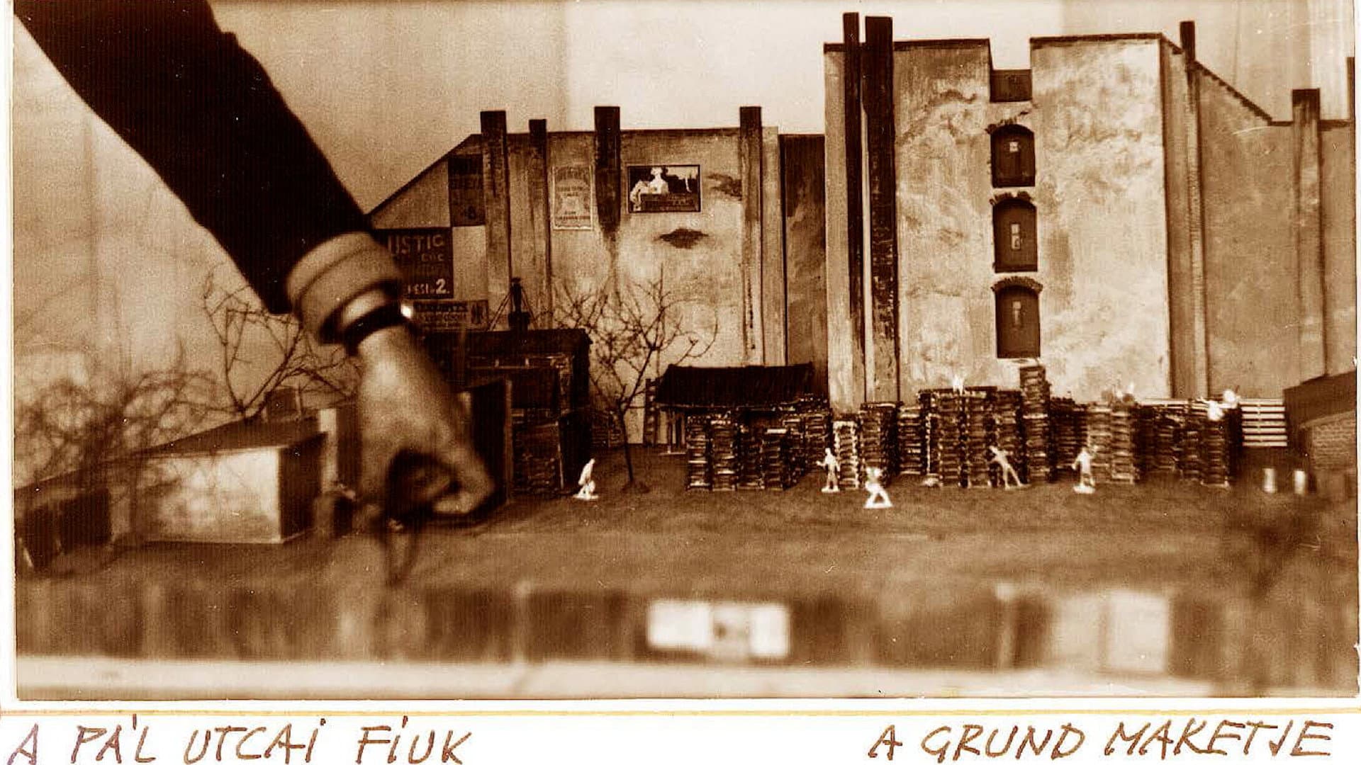 Remembrance of József Romvári