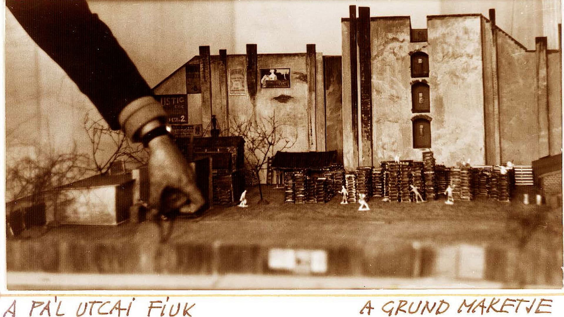 Remembrance of József Romvári