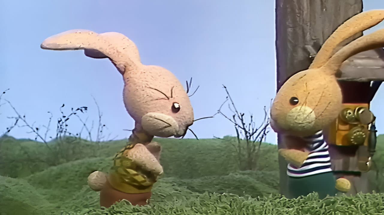 A csodálatos nyúlcipő