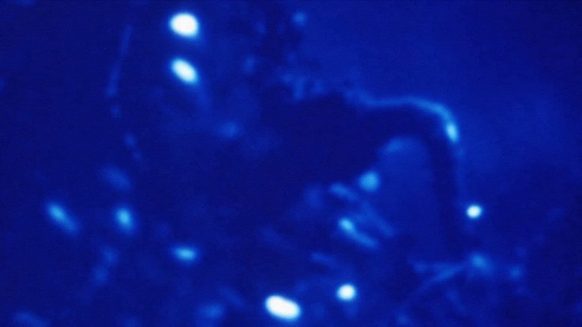 Morfología de un sueño