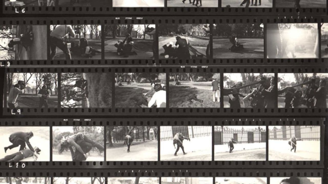 Fragmentos rebelados