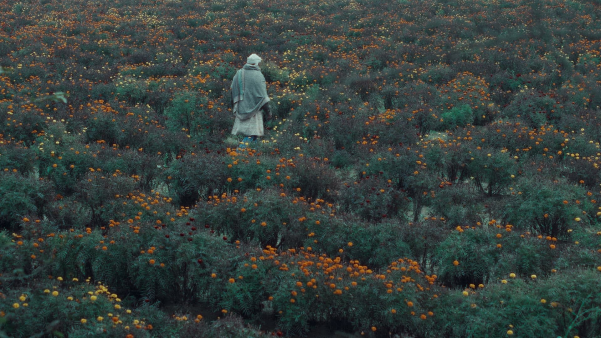 खाल बछड़ा