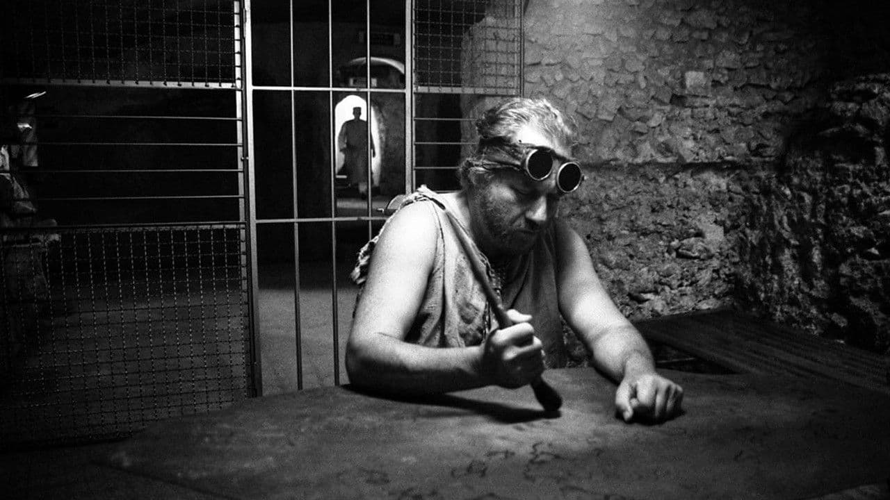 Il ronzio delle mosche